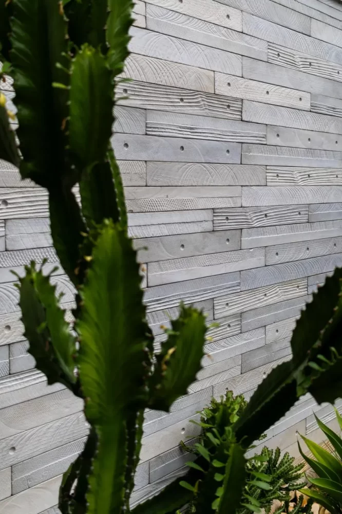 fotos-linha-grigio-2