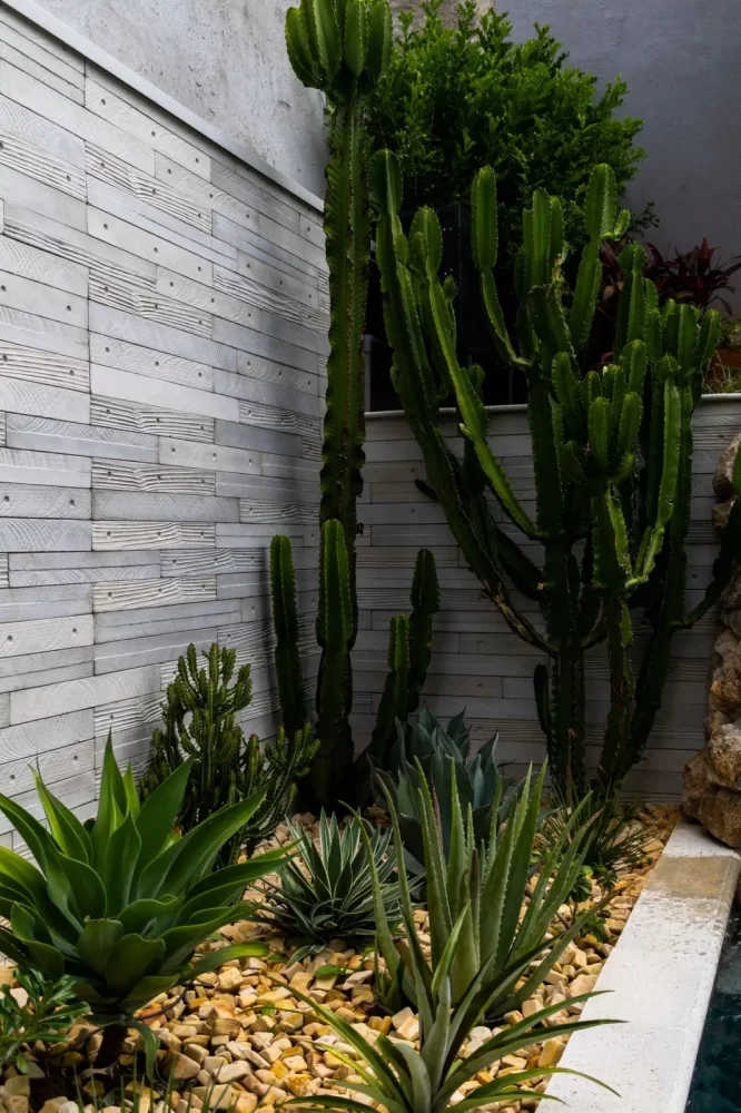 fotos-linha-grigio-9