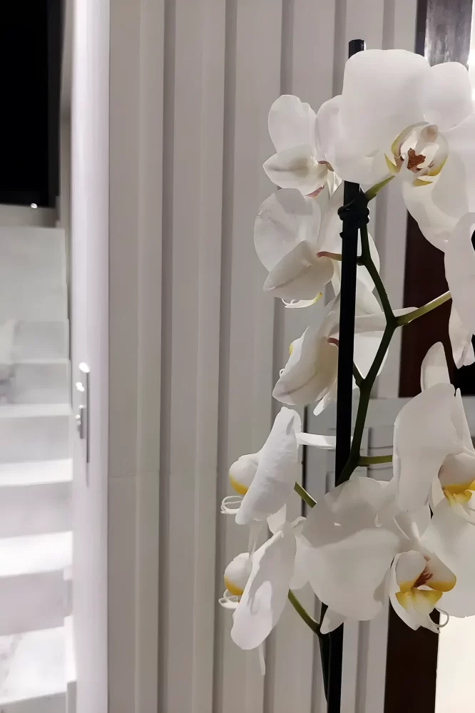 torino-dritta-e-torino-inclinata-2