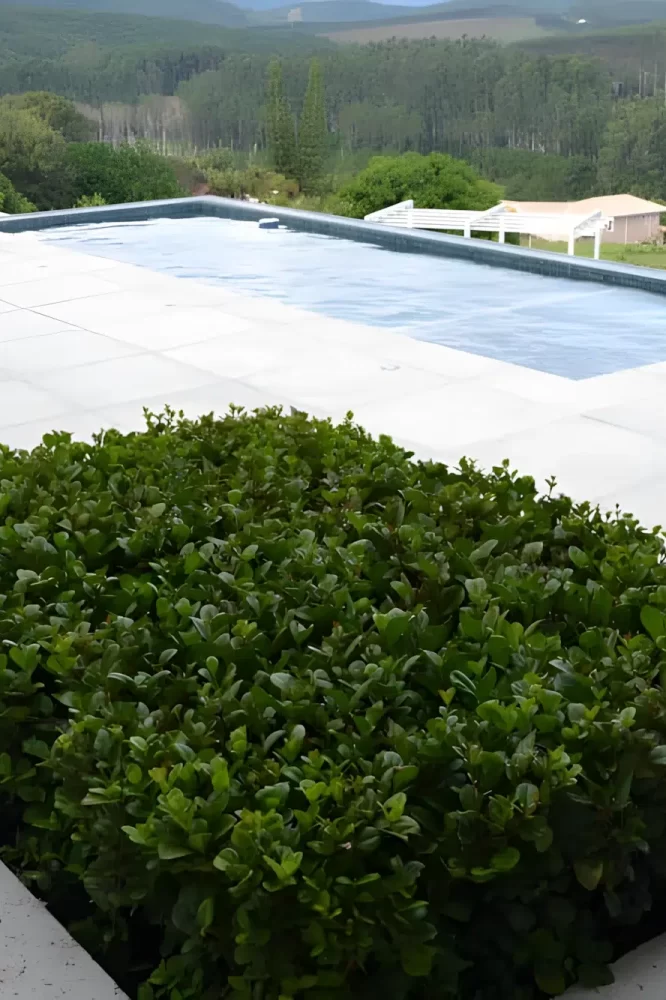 tratatto-atermico-12